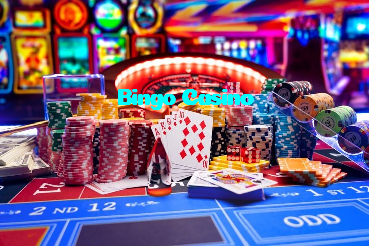available types of Bingo Casino bet including pre-match live express and system bets